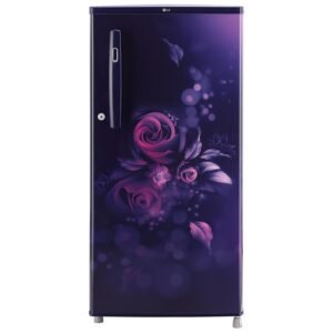 LG 190 L 2 Star Direct-Cool Single Door Refrigerator (GL-B199OBEB, Blue Euphoria, Fast Ice Making, 2022 Model)